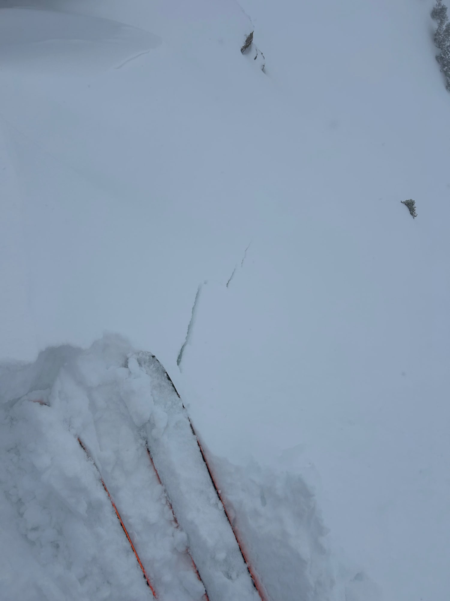 Observation photo