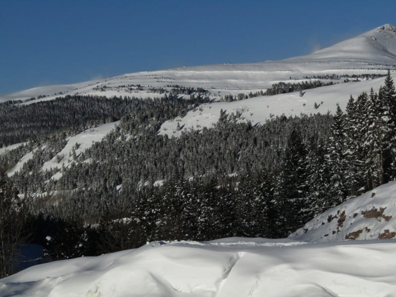 Observation photo 1