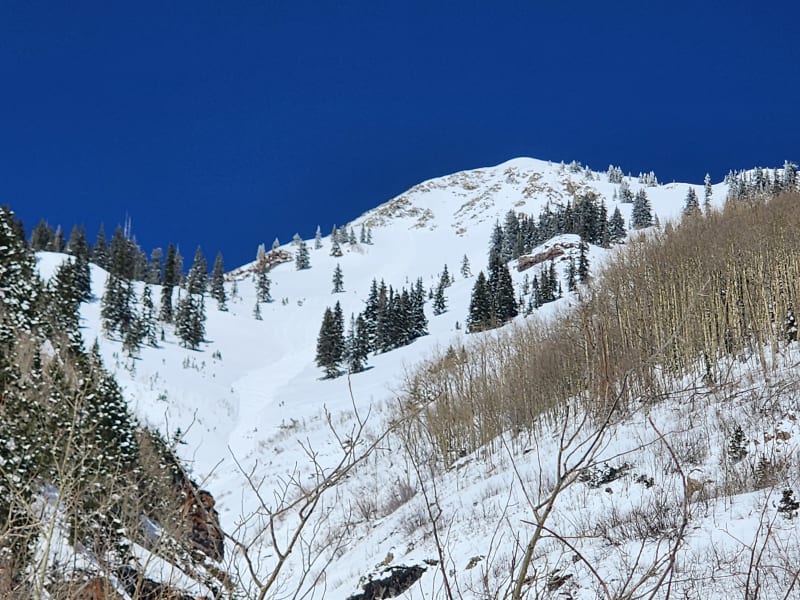 Observation photo 1