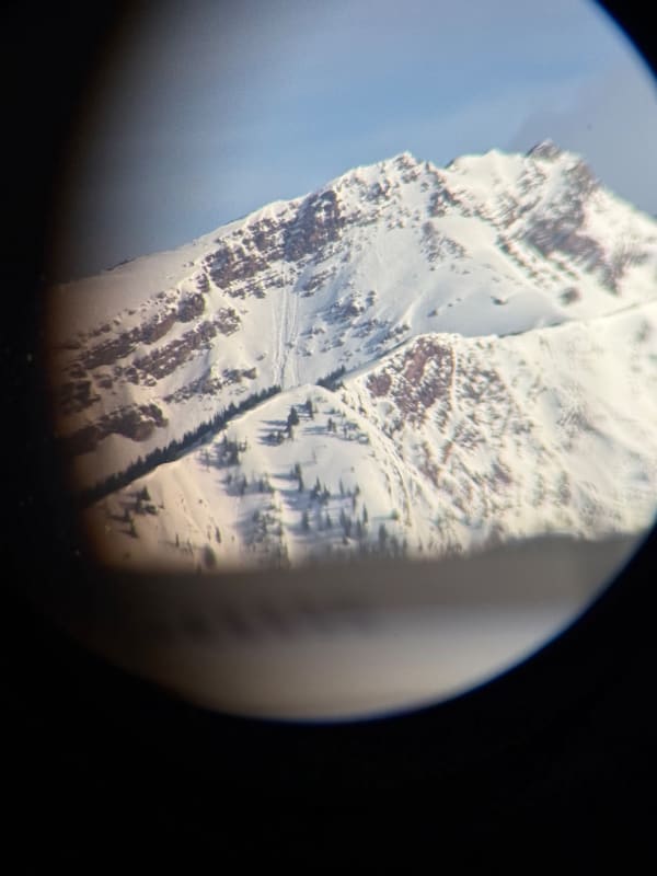 Observation photo 11