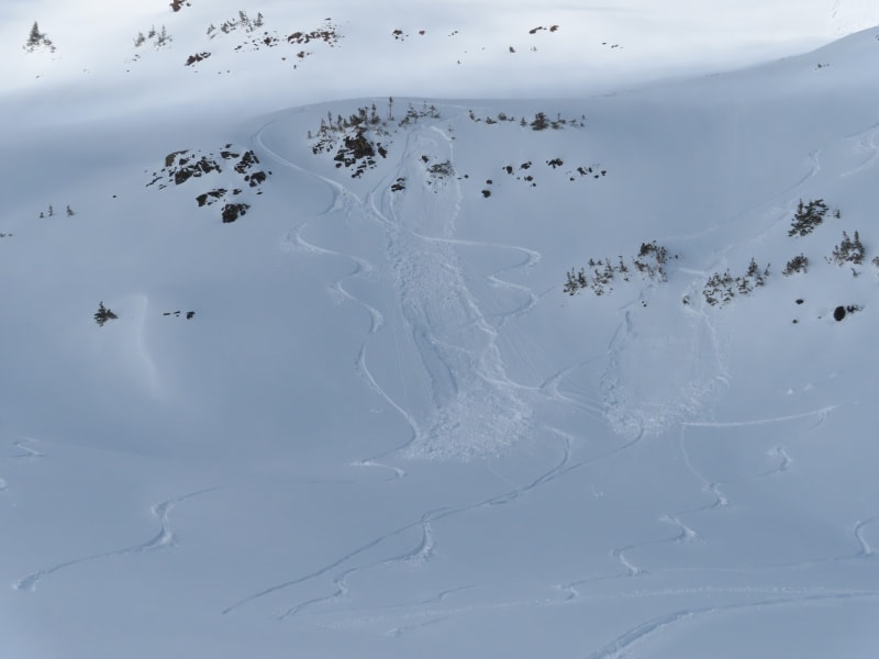 Observation photo 1