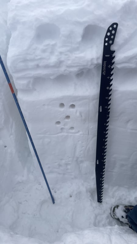 Observation photo 1