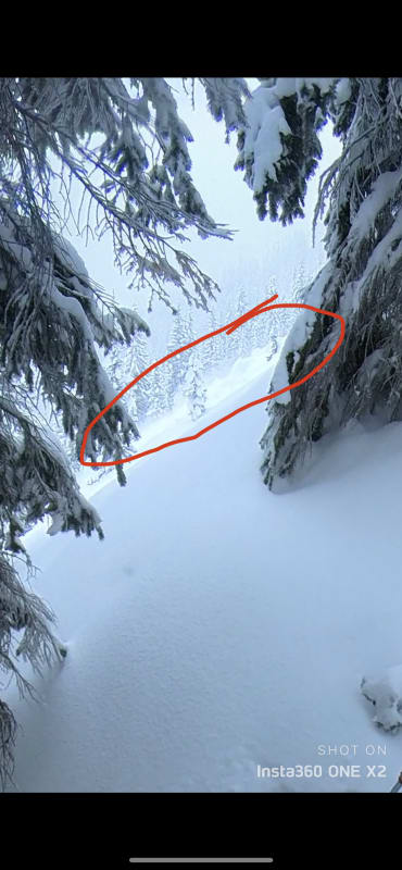 Observation photo 1