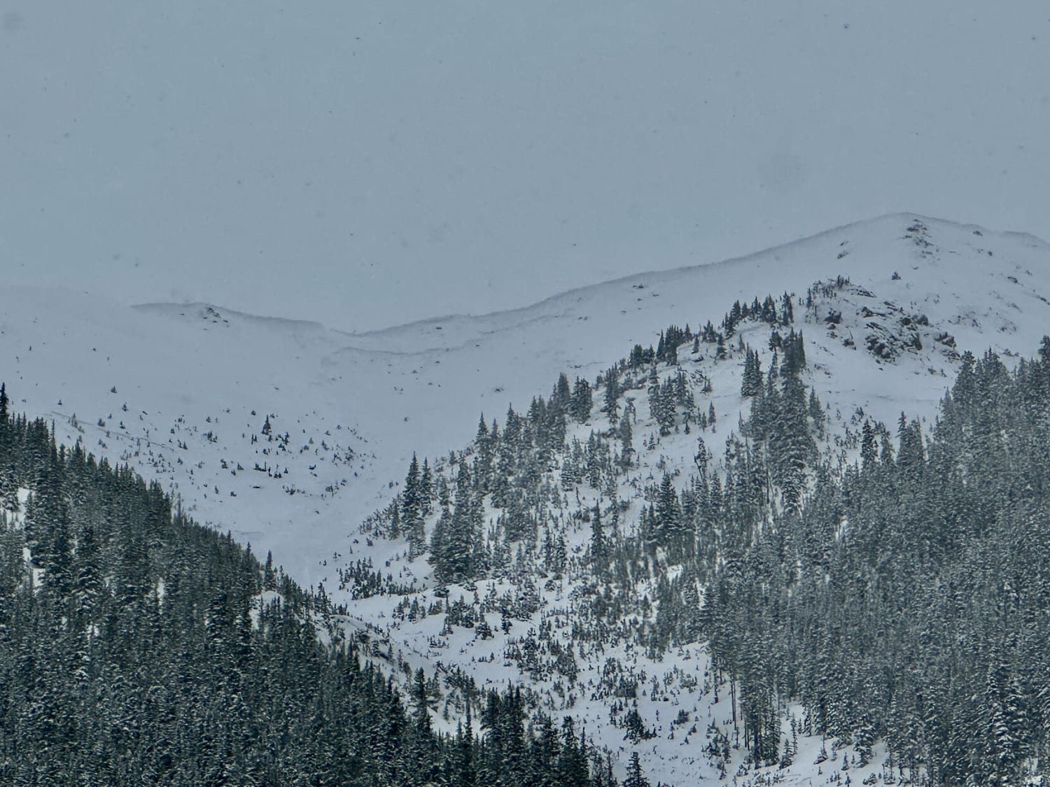 Observation photo