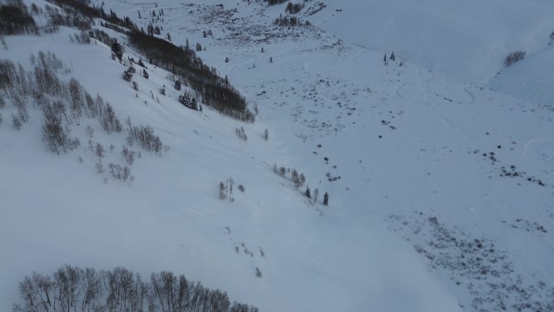 Observation photo 4