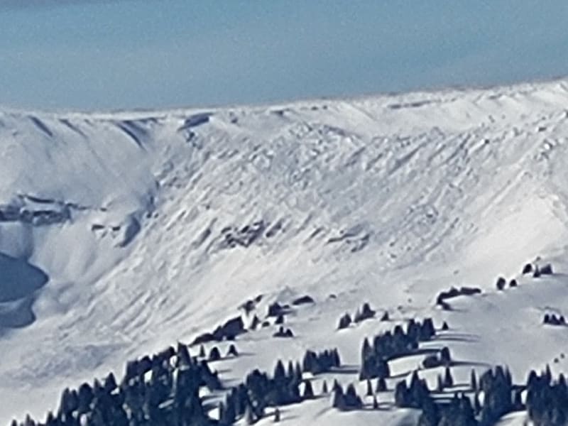 Observation photo 1
