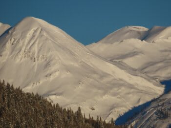 Observation photo 1
