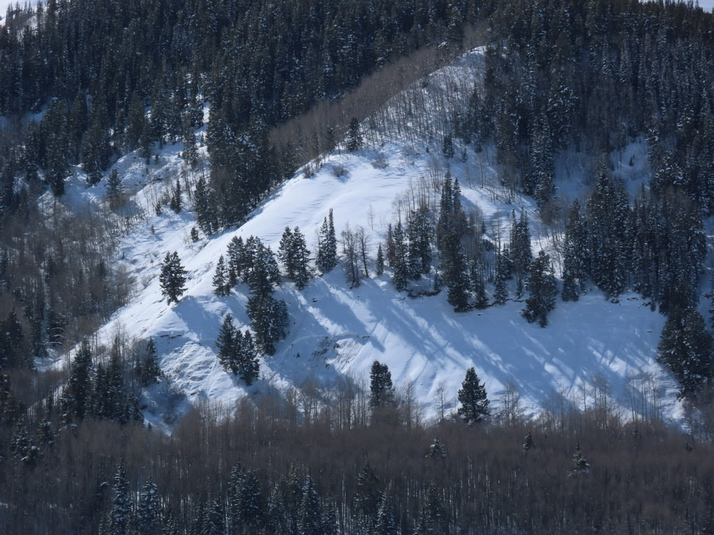 Observation photo