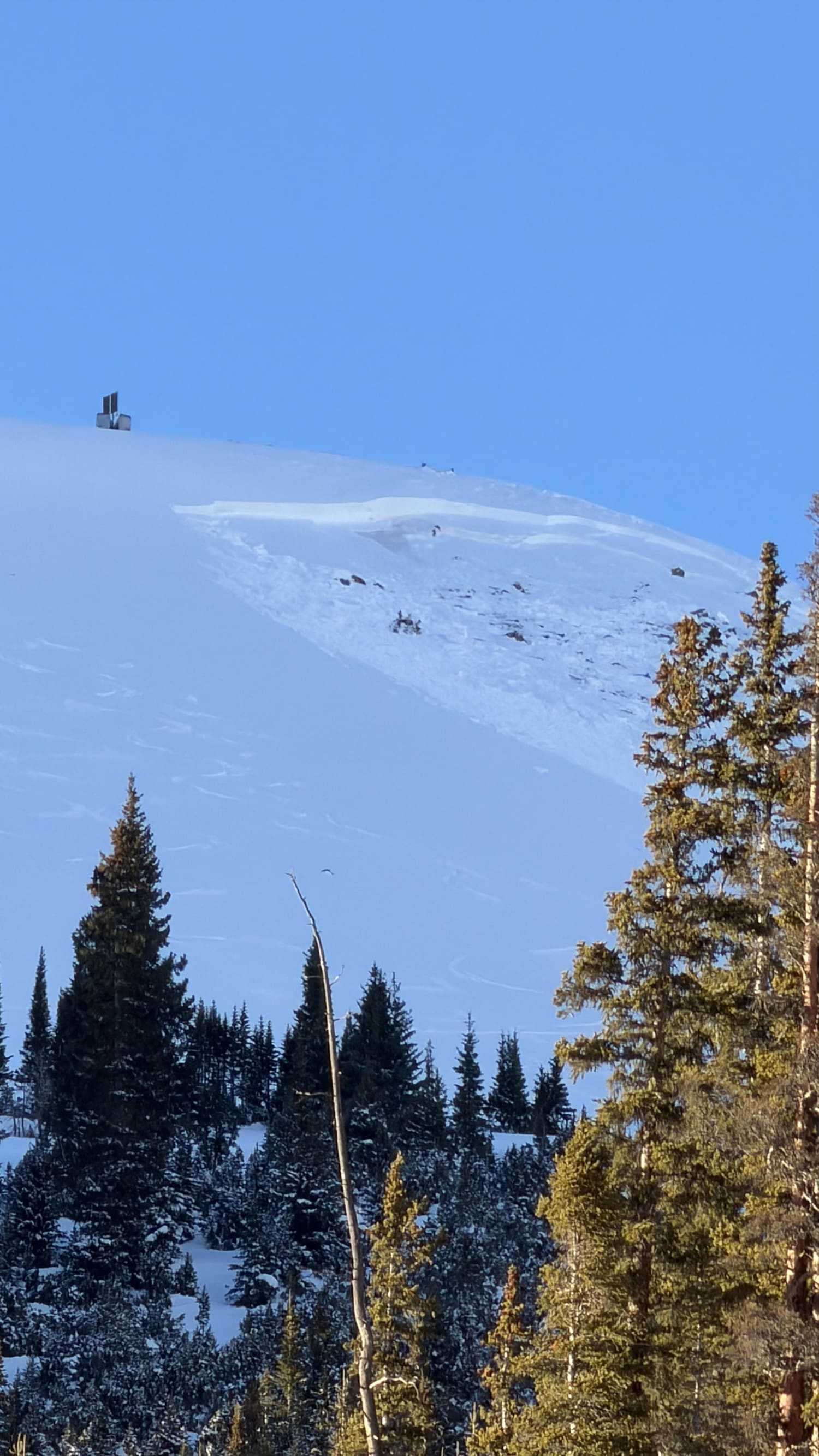 Observation photo