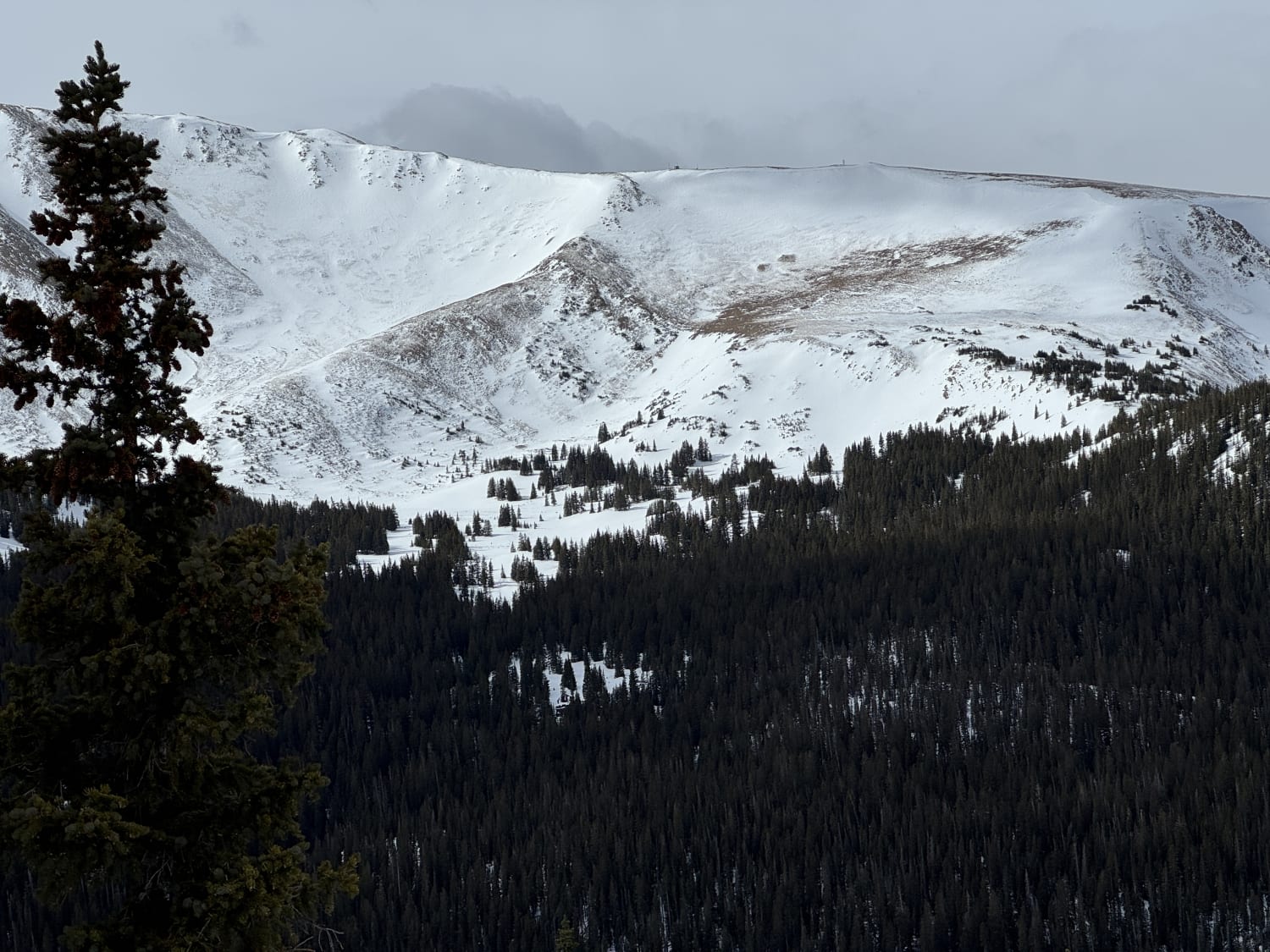Observation photo