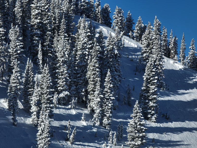 Observation photo 3