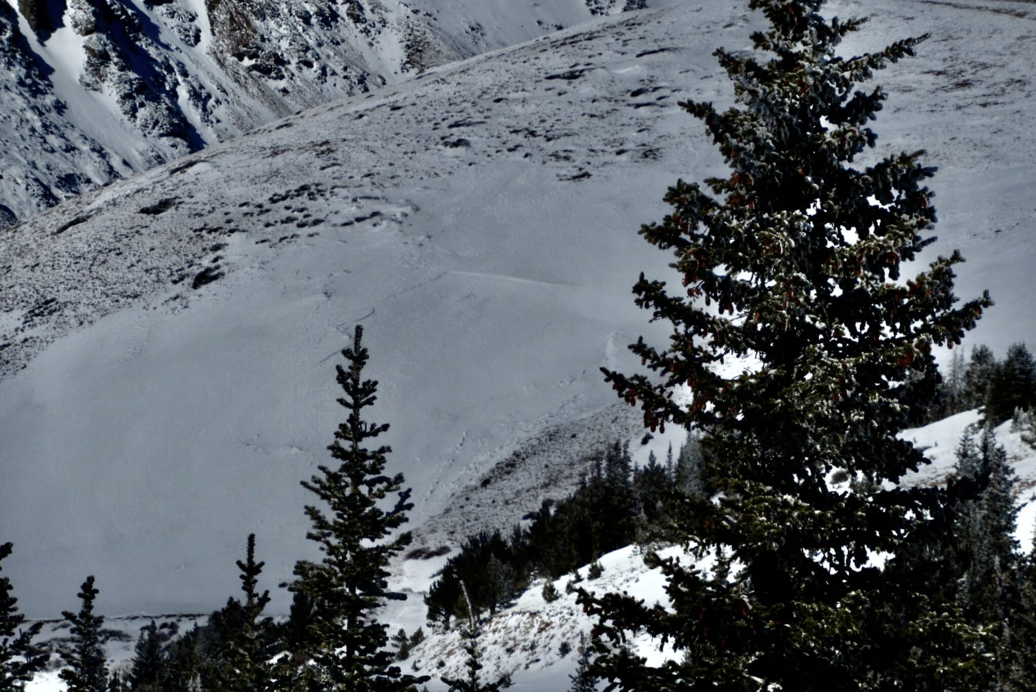 Observation photo