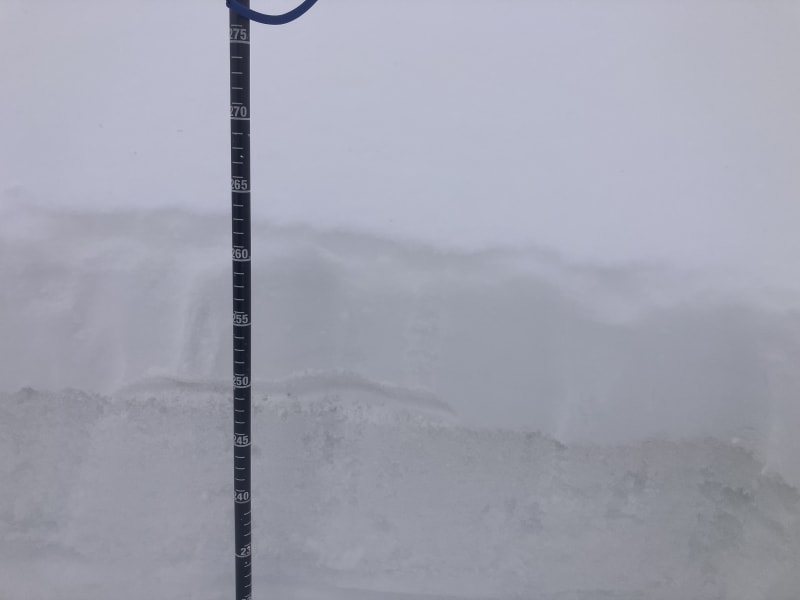 Observation photo 3