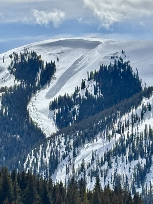 Observation photo 1