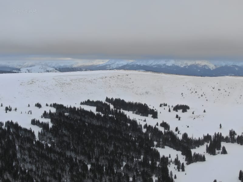 Observation photo 3