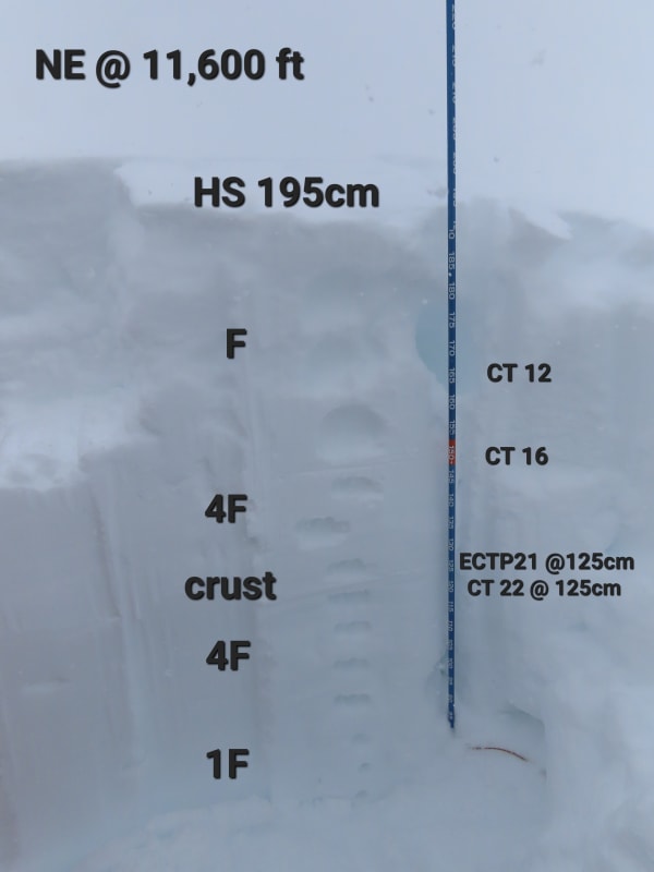 Observation photo 2