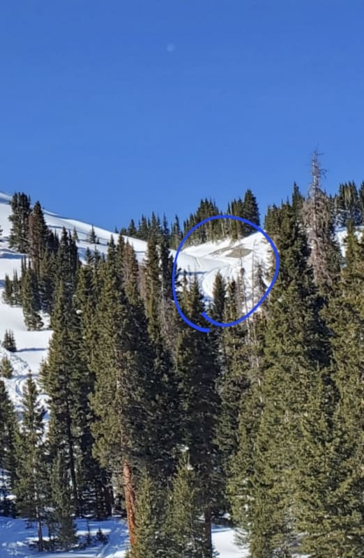 Observation photo 3