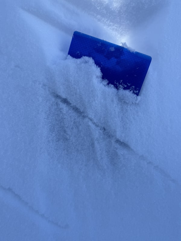 Observation photo 6
