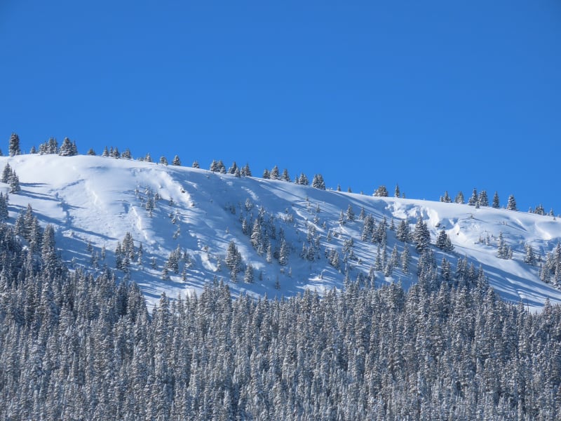 Observation photo 2