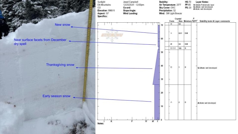 Observation photo 1