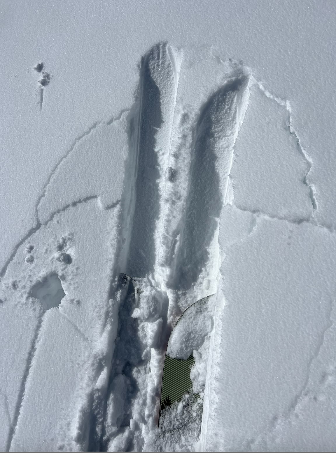 Observation photo