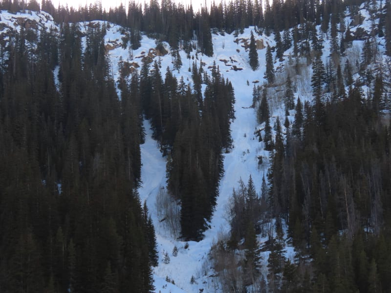 Observation photo 1