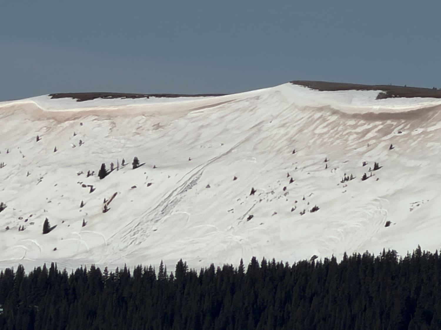 Observation photo