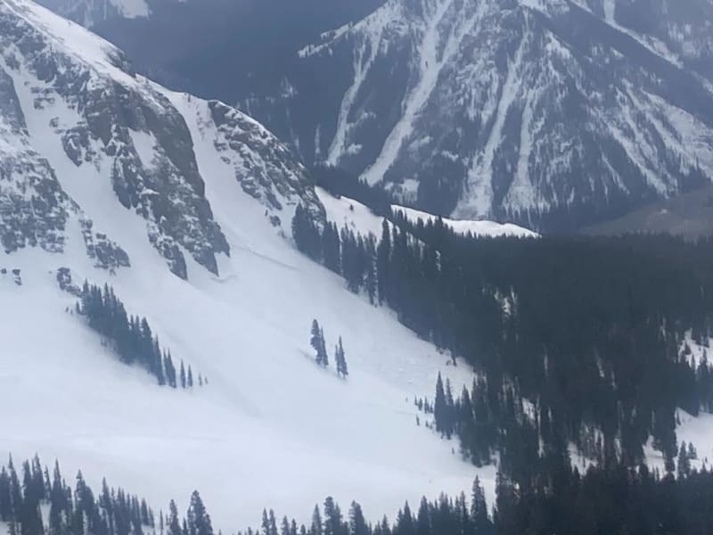 Observation photo 1