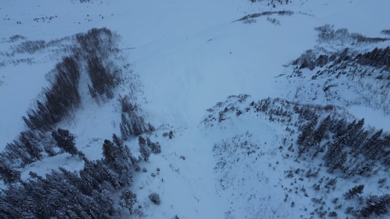 Observation photo 5