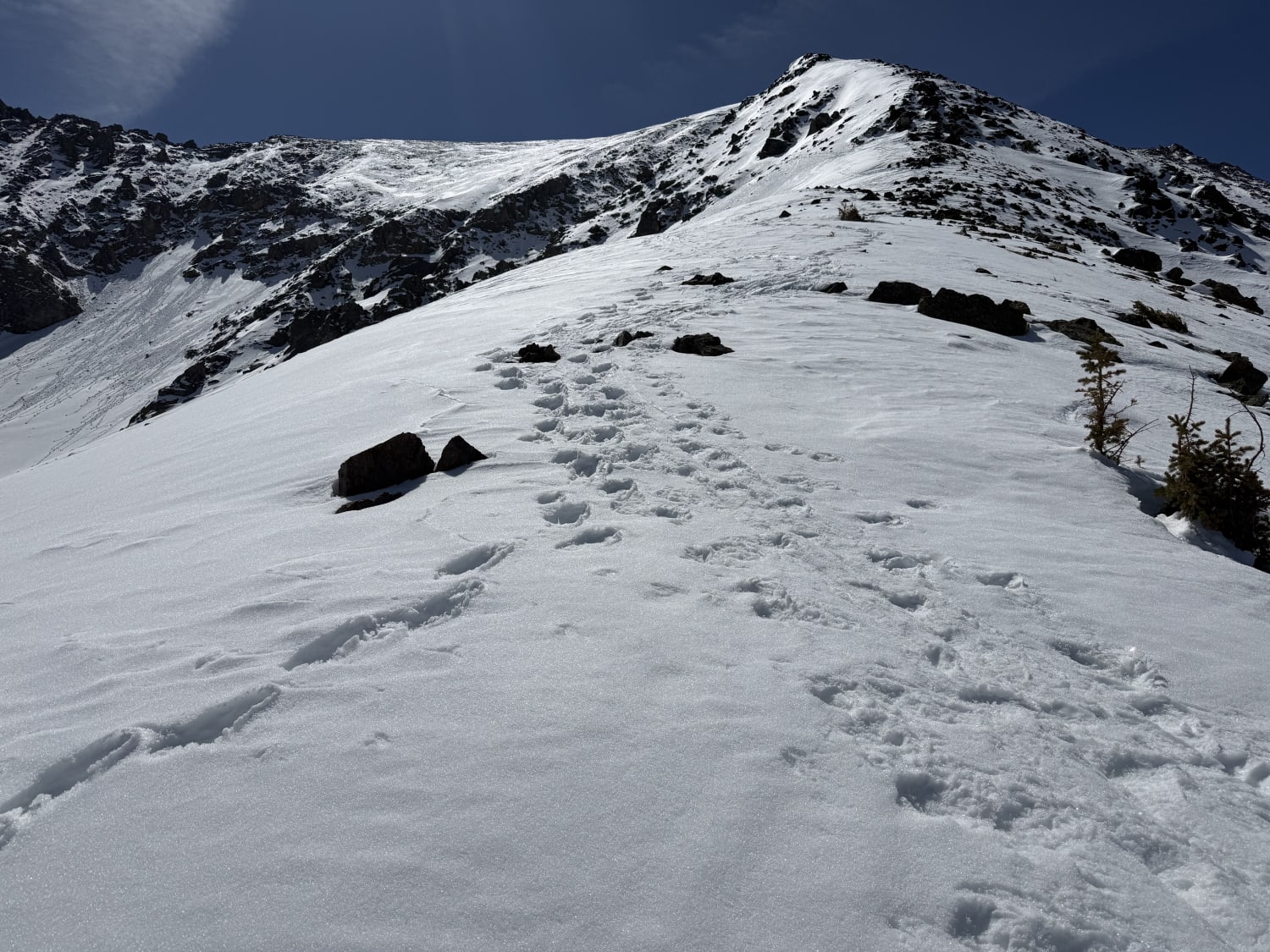 Observation photo