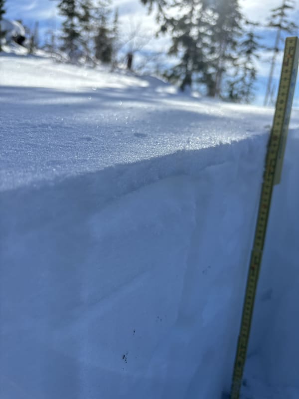 Observation photo 4