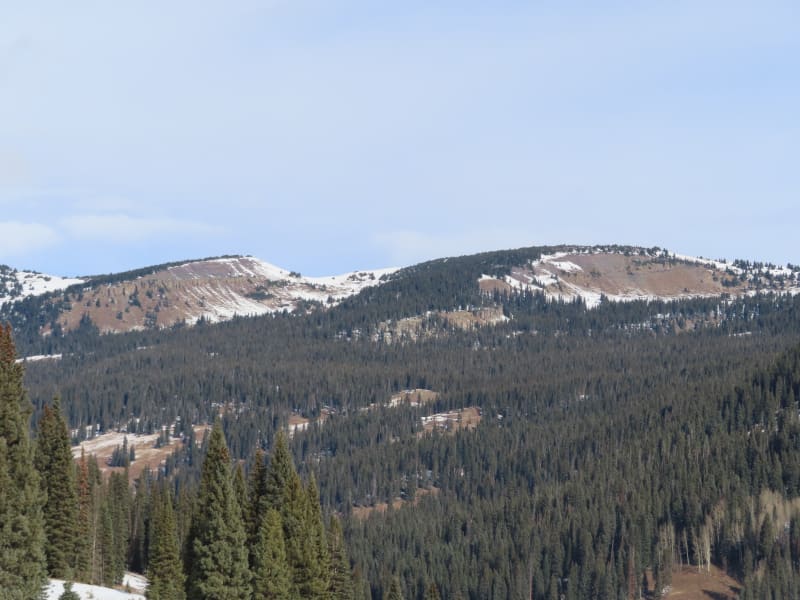 Observation photo 9