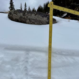 Observation photo 1