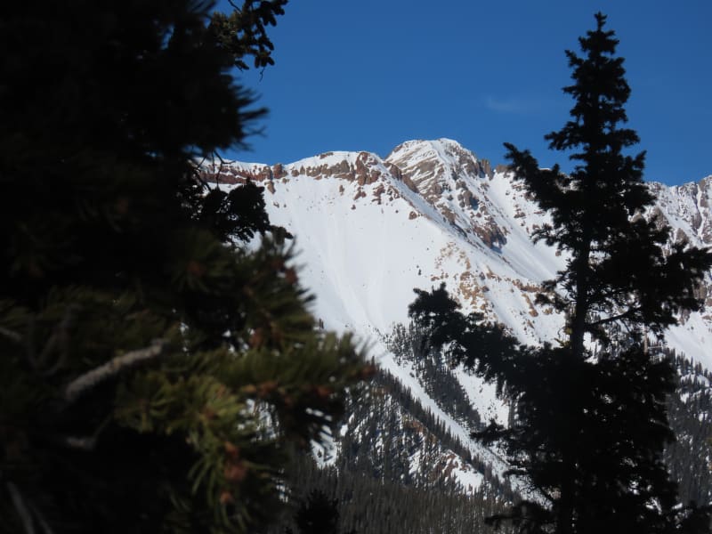 Observation photo 1