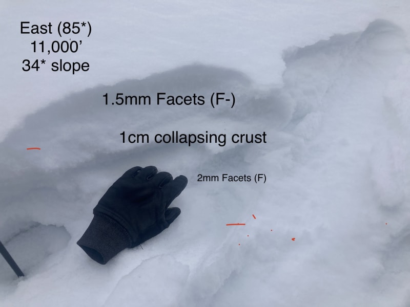 Observation photo 1
