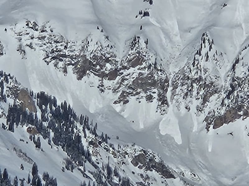 Observation photo 4