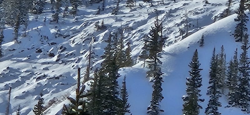 Observation photo 3