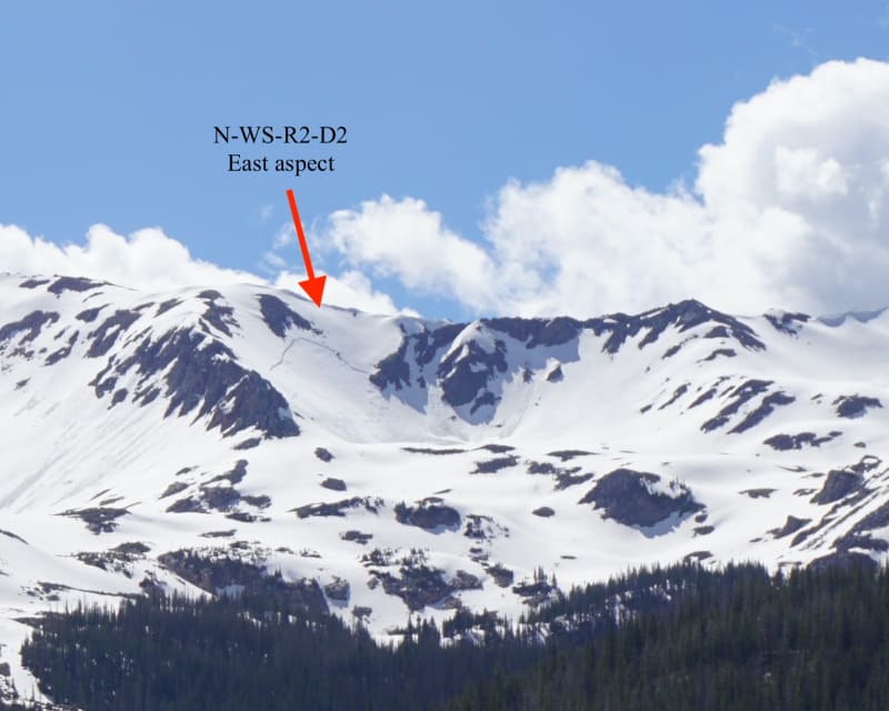 Observation photo 1