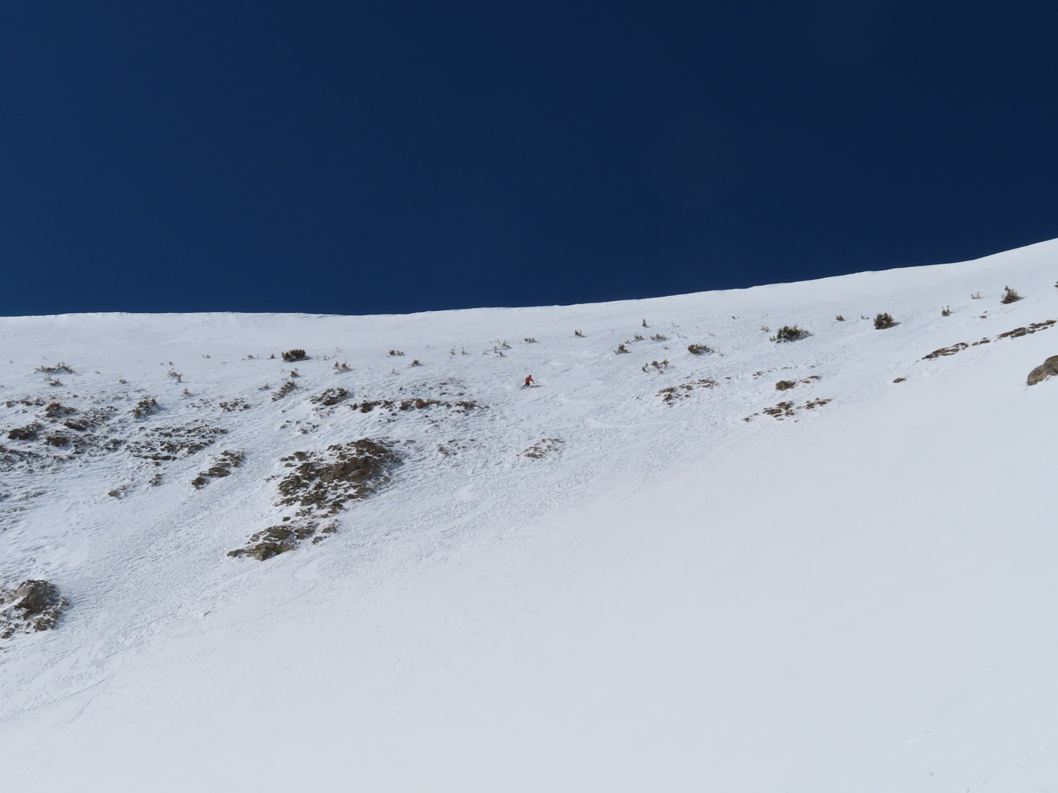 Observation photo