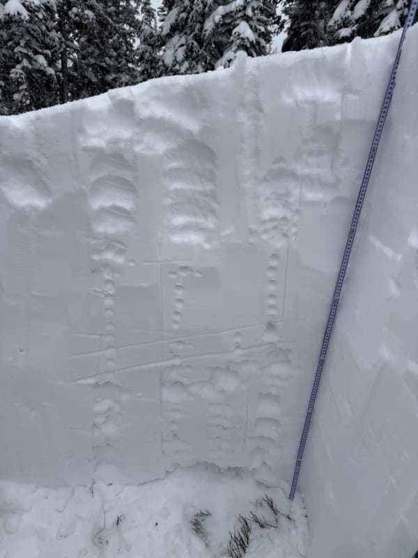 Observation photo 2