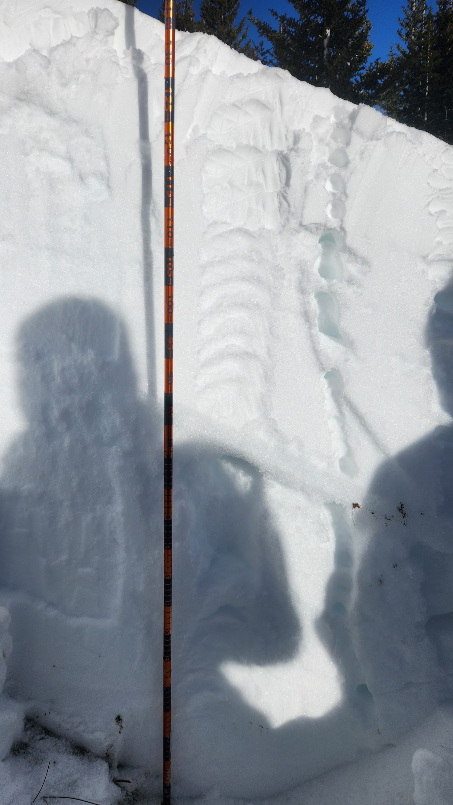 Observation photo