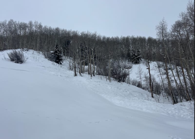 Observation photo 1