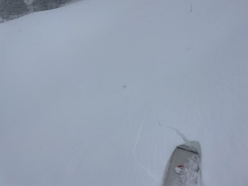 Observation photo 3