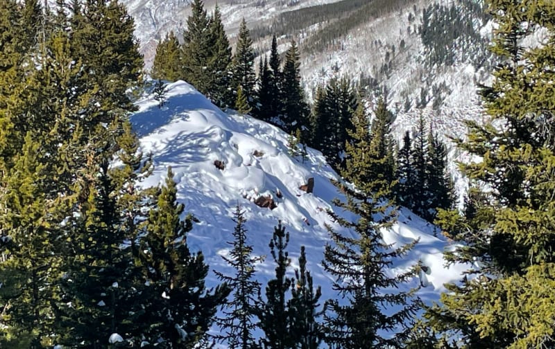 Observation photo 2