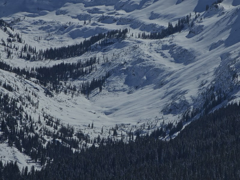 Observation photo 3