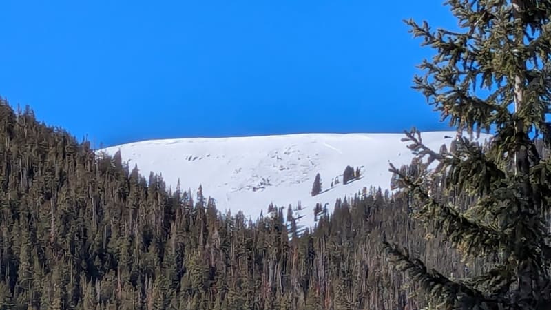 Observation photo 1