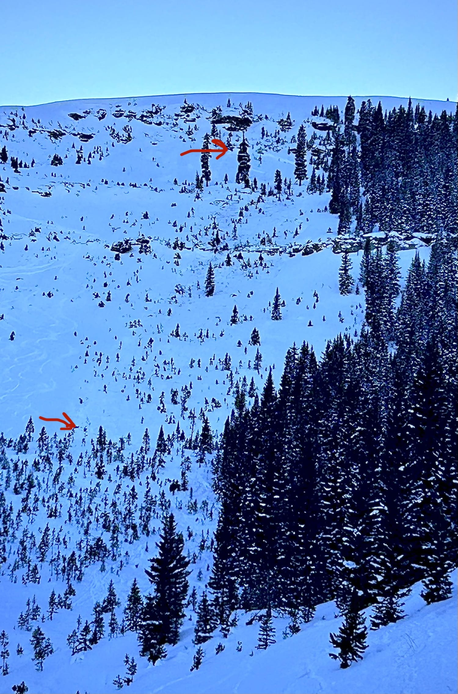 Observation photo