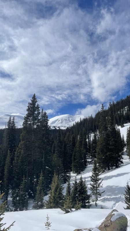 Observation photo 1