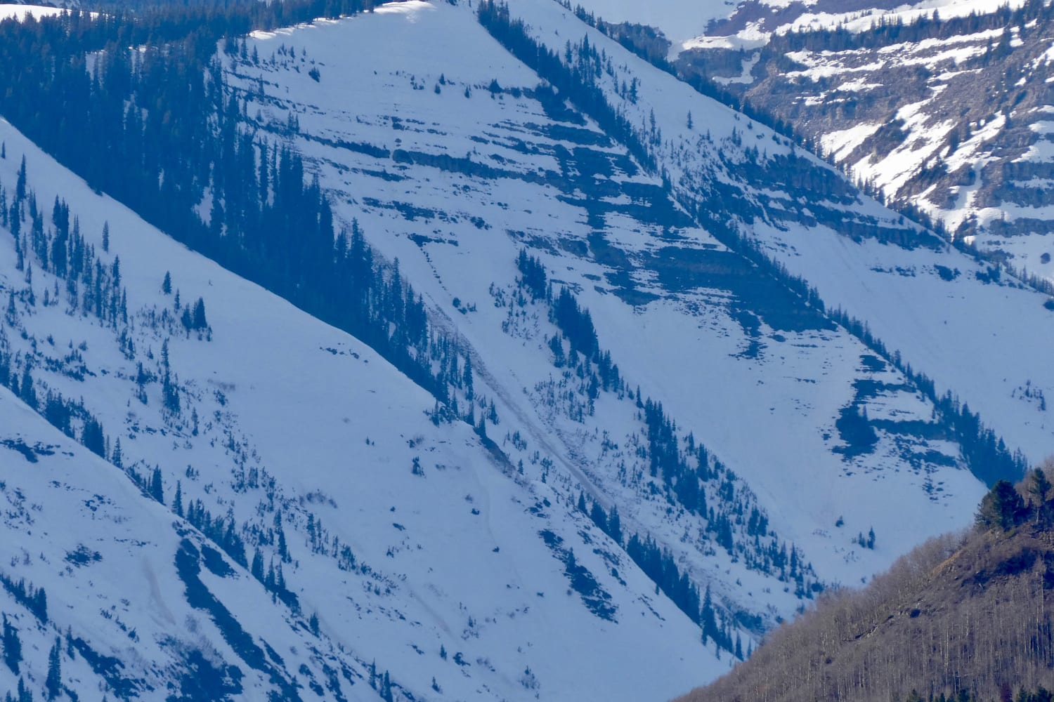 Observation photo