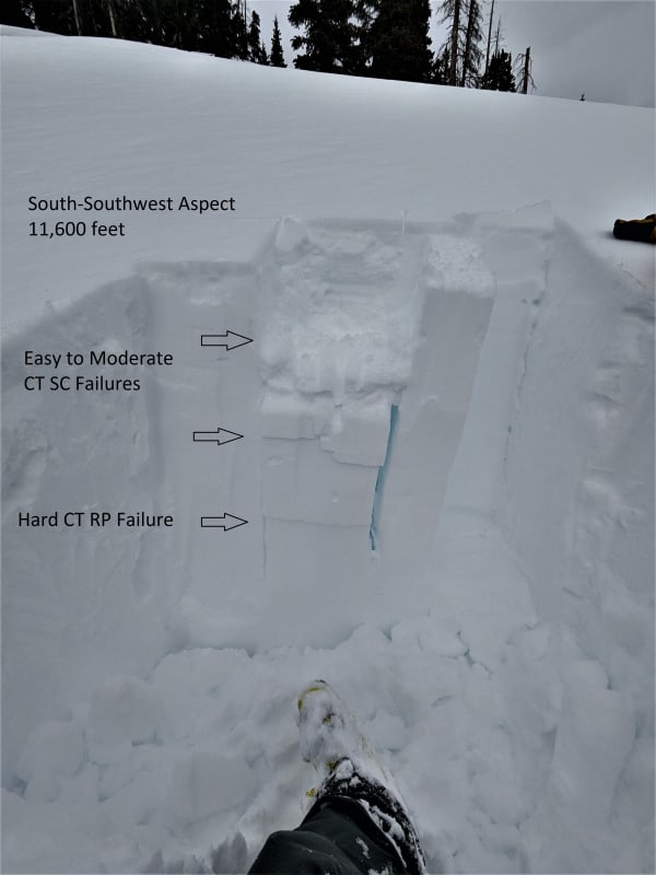 Observation photo 4